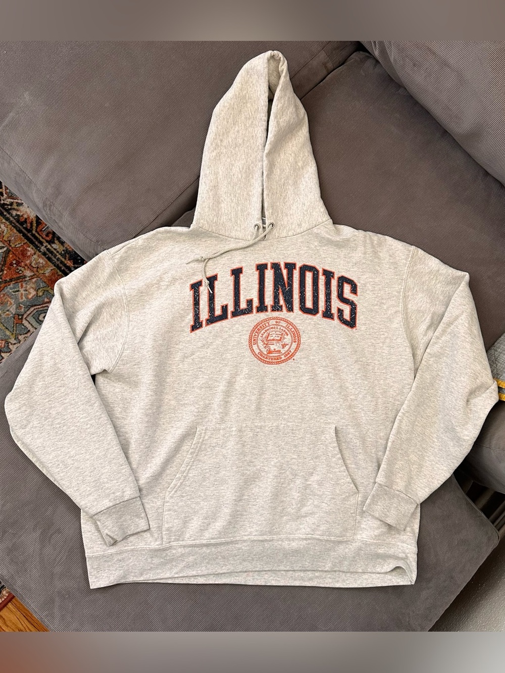 Retro University Of Illinois Champion Size XL Pullover Hoodie Sweatshirt Gray